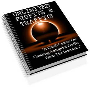 Unlimited Profits   Traffic